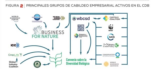 La naturaleza de los negocios La naturaleza de los negocios